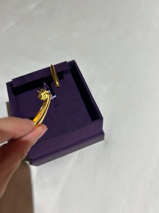 Pendientes Aristocrazy Bañados en Oro