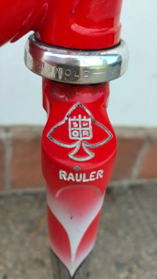 Telaio Bici Corsa Vintage Rauler Profil System