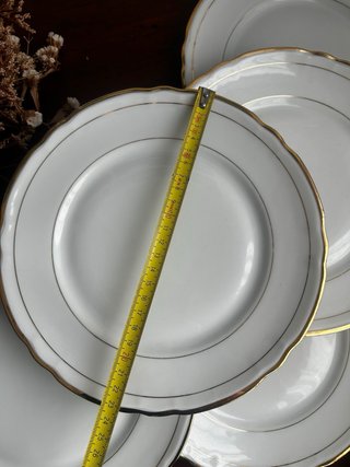 Platos llanos porcelana francesa