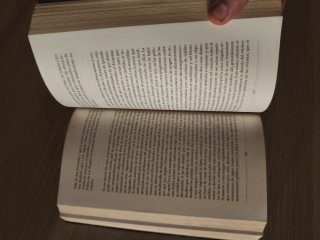 Libro los destrozos