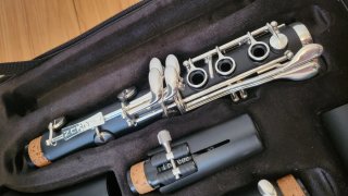 Clarinete Bb Backun Alpha 17 llaves plateadas