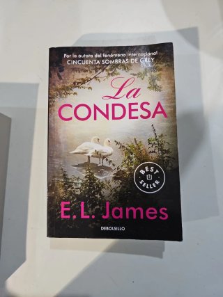 Mister y La condesa (Mister 2)