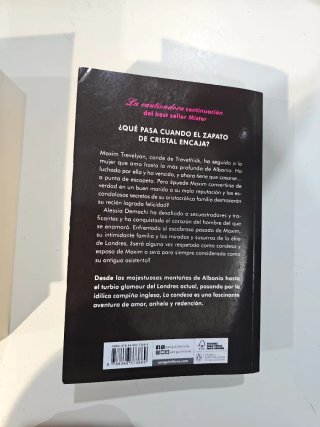 Mister y La condesa (Mister 2)