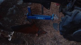 Motocultor BCS