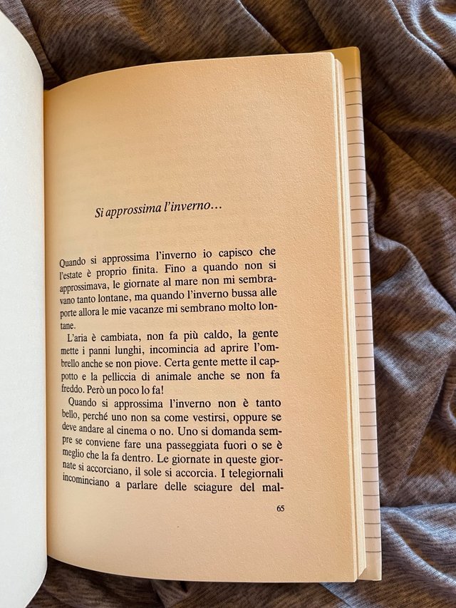 Libro Io speriamo che me la cavo