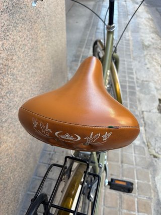 Bicicleta de paseo verde