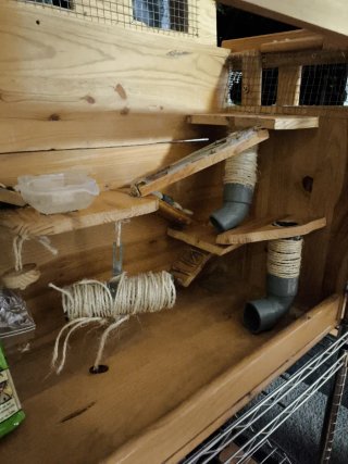 Jaula Roedores Madera Hecha Mano