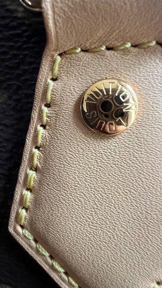 Louis Vuitton Speedy Bandouliere 20