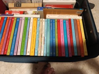 Lote libros colección años 80 labor