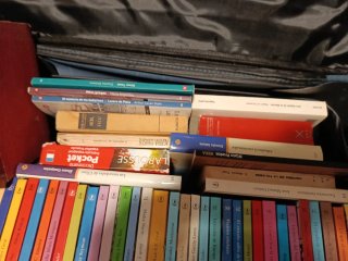 Lote libros colección años 80 labor