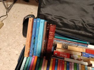 Lote libros colección años 80 labor