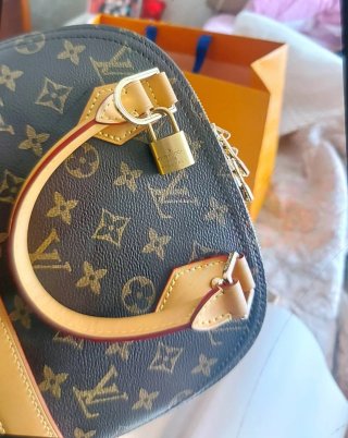 Borsa Louis Vuitton Marrone con Scatola