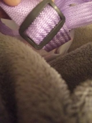 Mochila Hello Kitty