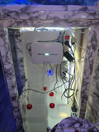 Xepta Auto Balance G1