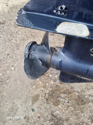 2 Motores Fuera de Borda Johnson y Evinrude 15CV