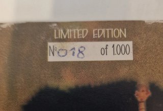 U2 Autumn Fire CD limited edition n.18/1000 copie.