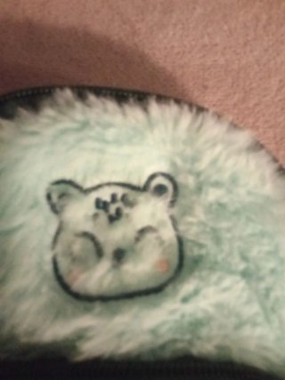 Bolso/Mochila Peluche Menta Oso