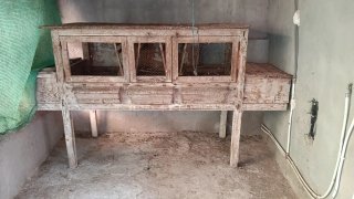 Jaula para conejos de madera y metal