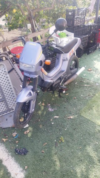 Atala máster 49cc