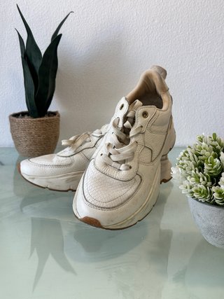 Zapatillas Zara Chunky Blancas Talla 39
