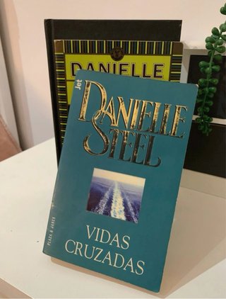 Pack lote 3 libros Danielle steel Naguib