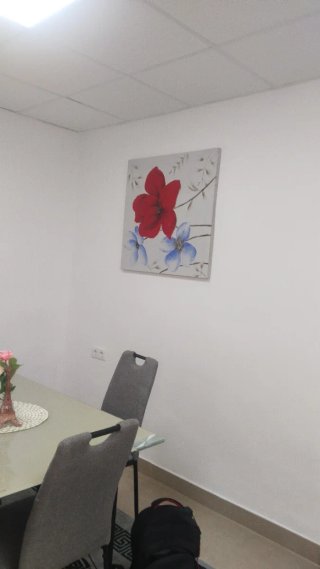 Pintor