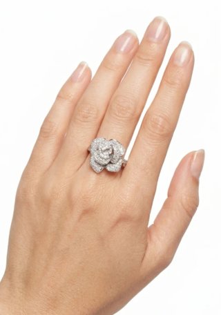 Anillo Luz de Camelia