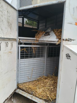 Remolque para caballos