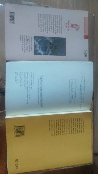 Lote de libros