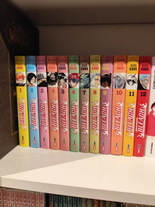 Maximum Bleach 1-12 español