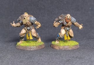 Equipo Blood Bowl Nórdico