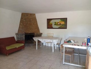 Huerto familiar