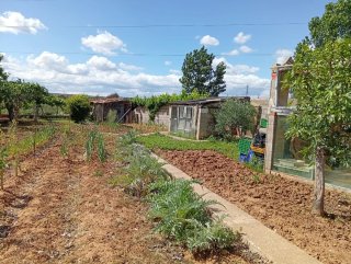 Huerto familiar