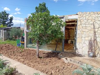 Huerto familiar