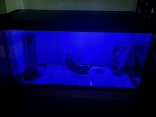 Acuario 100L con mueble y accesorios