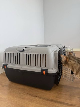 2 transportines para perros y gatos