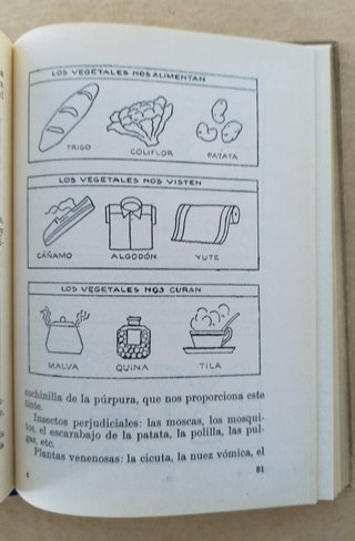 Libro escolar franquismo "Semilla"