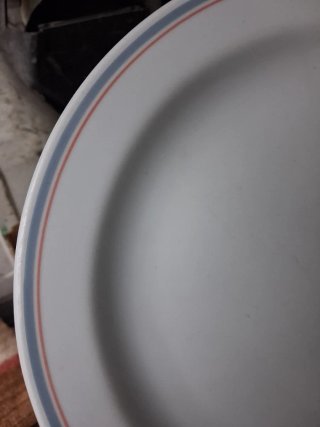 Piatti piani Richard Ginori 1 euro cad