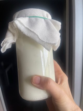 Te enseño a hacer kefir