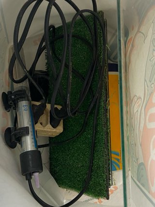 Pecera para tortugas