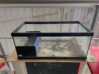 Pecera para tortugas