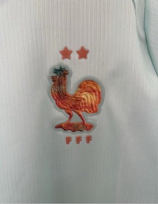 Camiseta Nike Francia Talla S