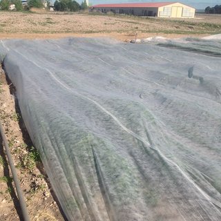 Manta Térmica 17 g/m² Rollo 3.2m x 250m