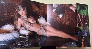 Taylor Swift The Life of a Showgirl Vinilo