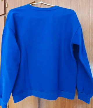 Sudadera Zara Disney