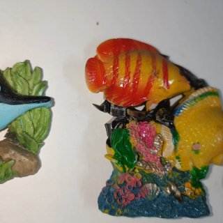 Set calamite frigo decorative