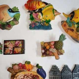 Set calamite frigo decorative