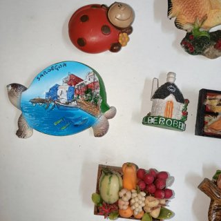 Set calamite frigo decorative