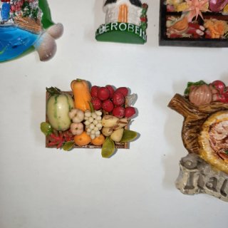 Set calamite frigo decorative