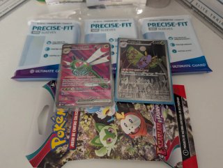 Pack Fundas Pokémon Yanmaga + Dustox + Sobre
